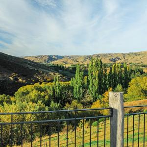 Views from Bellbird Suite